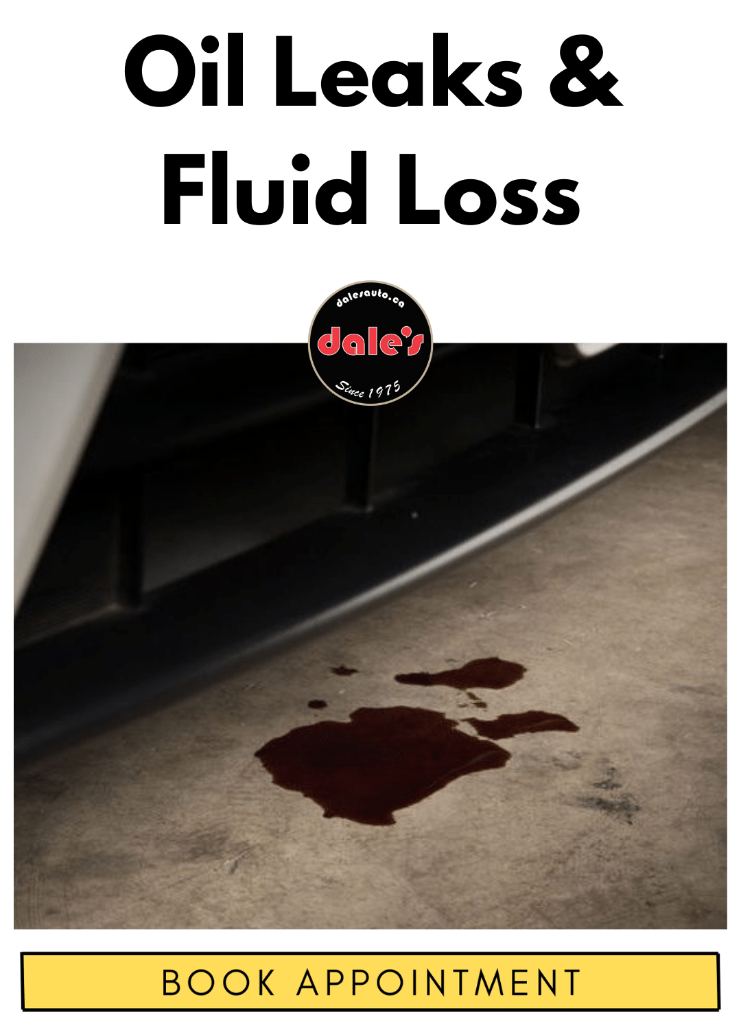 is Your Vehicle Leaking Fluid? Oil Leak Repair in White Rock | Dales Auto Service 604-530-9160 | Auto Repair, Brakes, Tires, Wheel Alignment Service Near Me