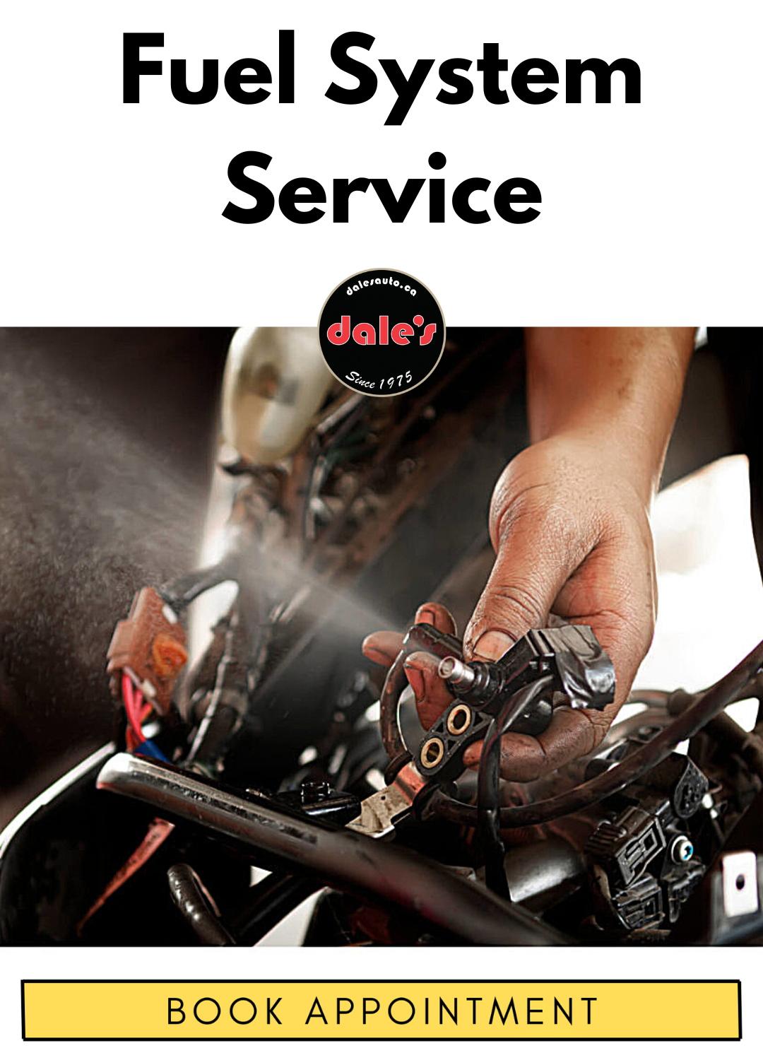 Fuel System Service & Repair in White Rock | 604-530-9160 | Dales Auto Service 604-530-9160 | Auto Repair, Brakes, Tires, Wheel Alignment Service Near Me