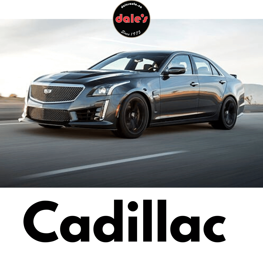 Domestic Service & Repair Specialists (2) Dales Auto Service Sprinter Repair