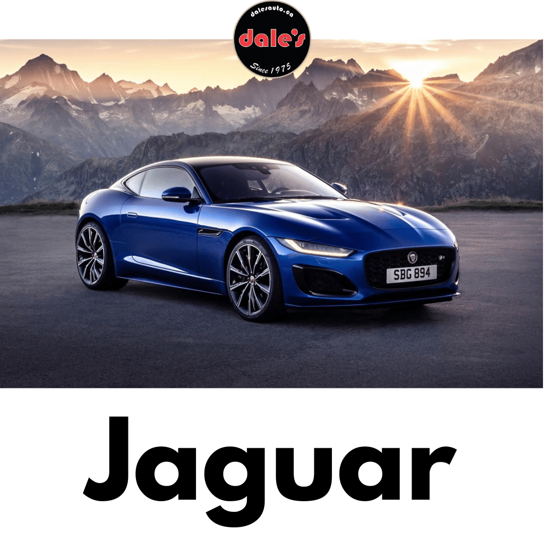 European Vehicle Service & Repair Specialists (4) Dales Auto Service Sprinter Repair