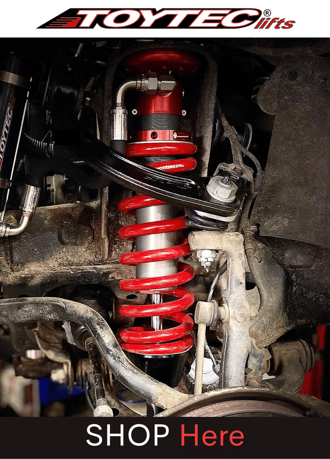 Toytec Lifts at Dales Auto Service