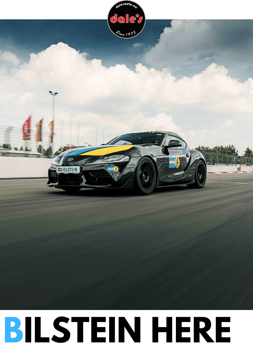 Bilstein at Dales Auto Service Bilstein at Dales Auto Service