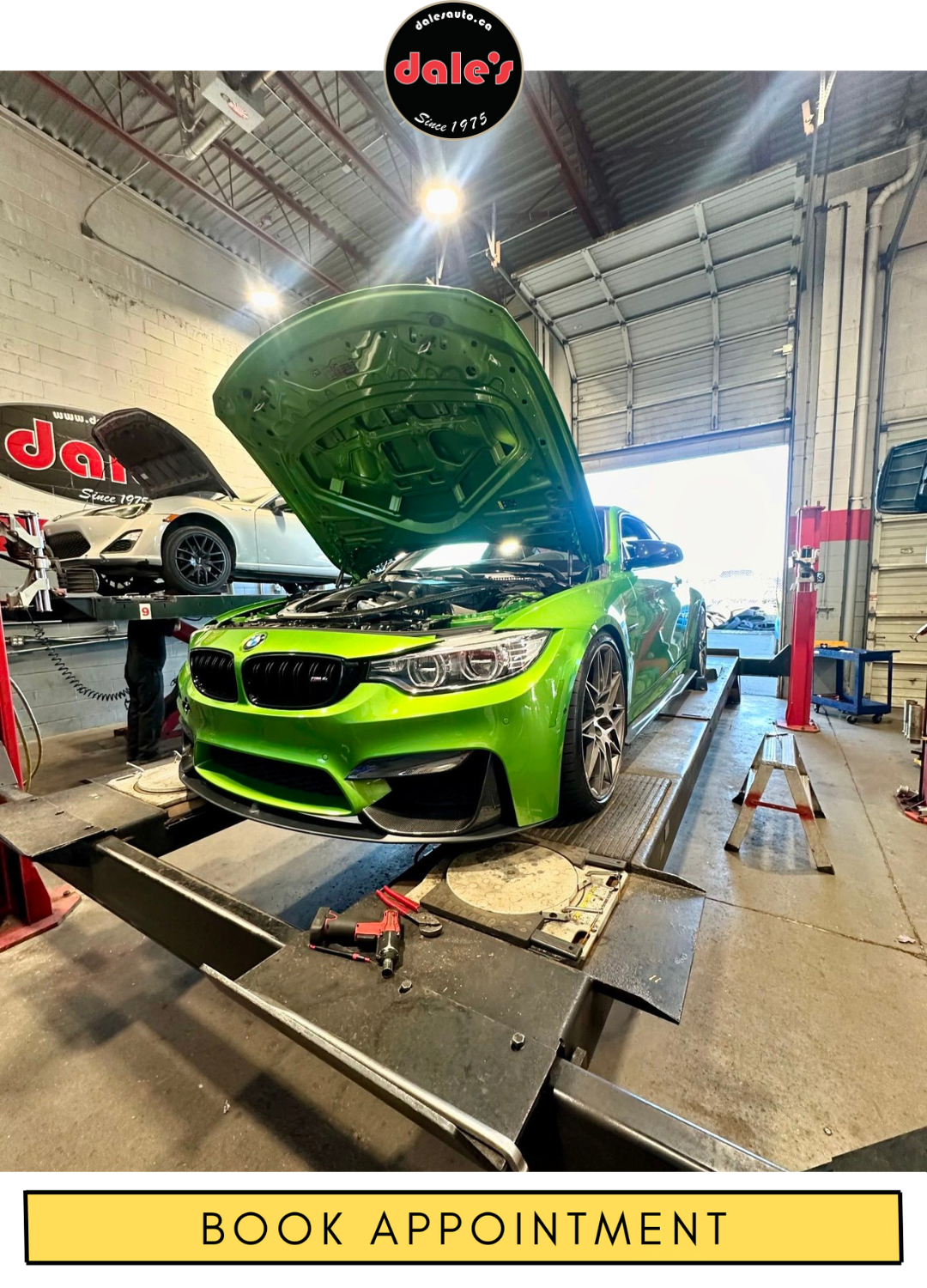 European Auto Repair Dales Auto Service