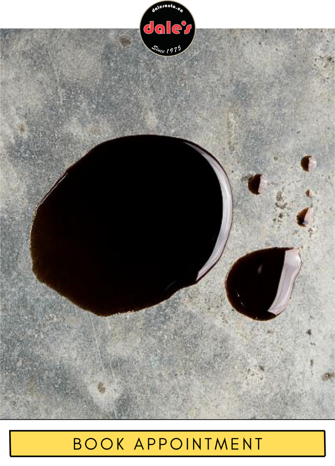 Fluid Leak Service & Repair Dale's Auto Service