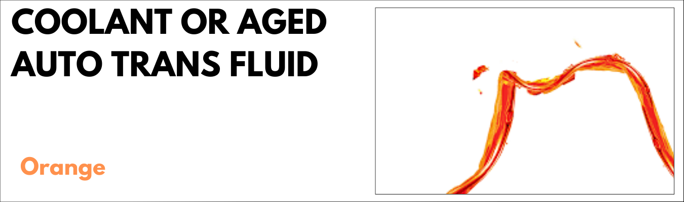 Transmission Dales Auto Service