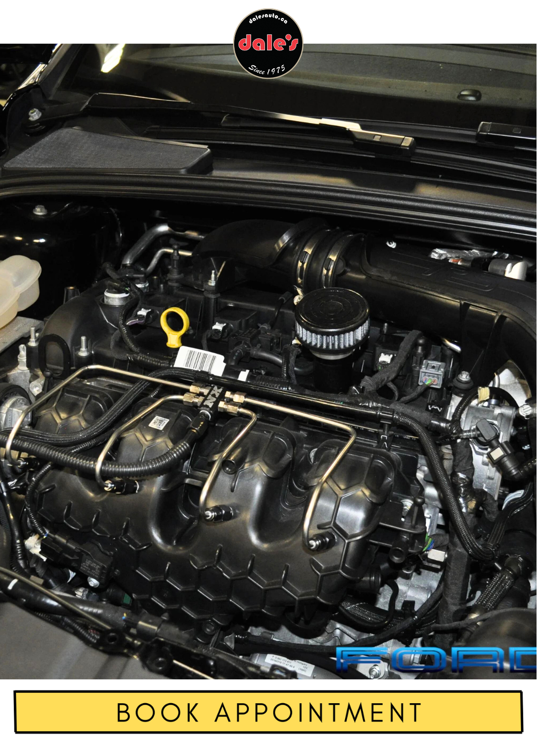 Ford Walnut Shell Blasting Dales Auto Service