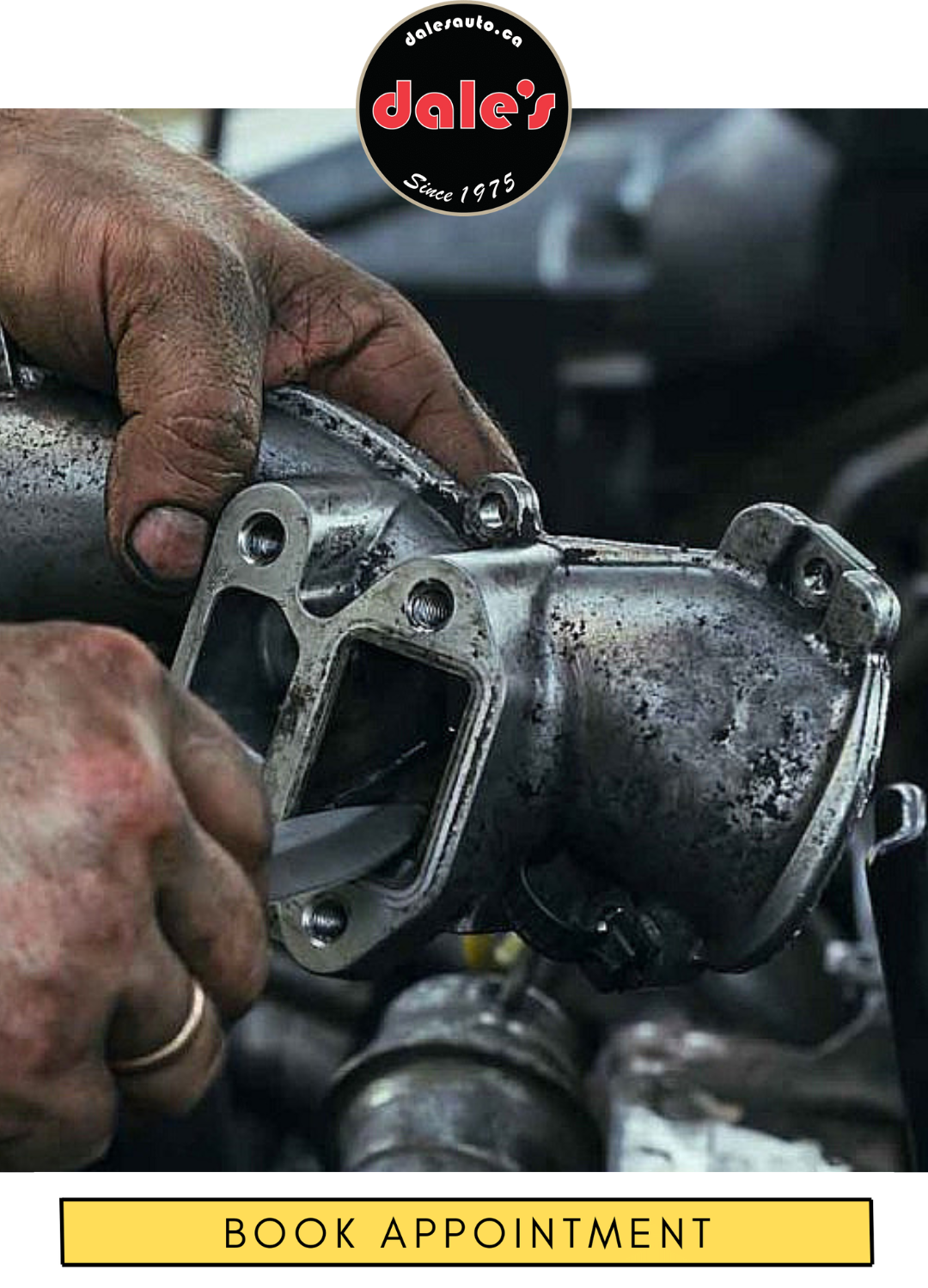 Egr Service Dales Auto Service