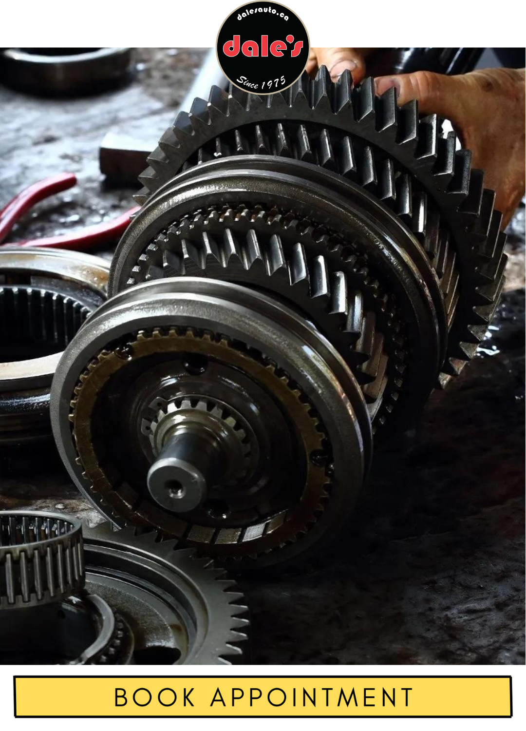 Transmission Service at Dale's Auto Service Transmission Service at Dale's Auto Service