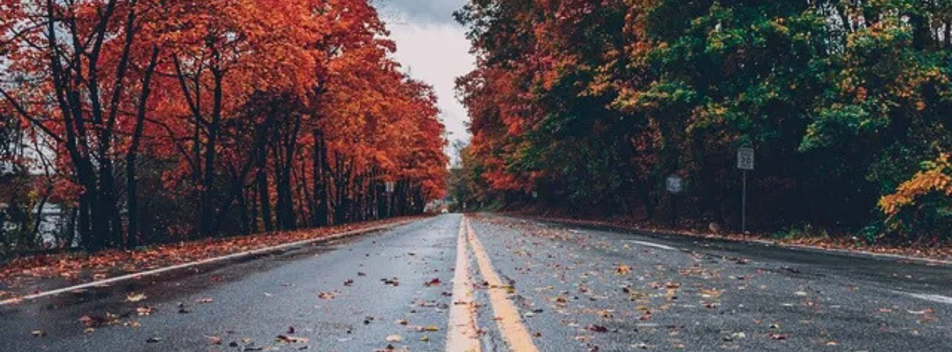 October Newsletter Dales Auto Service 1