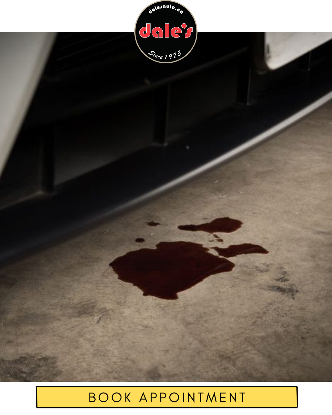 Oil Leak Repair Dales Auto Service 