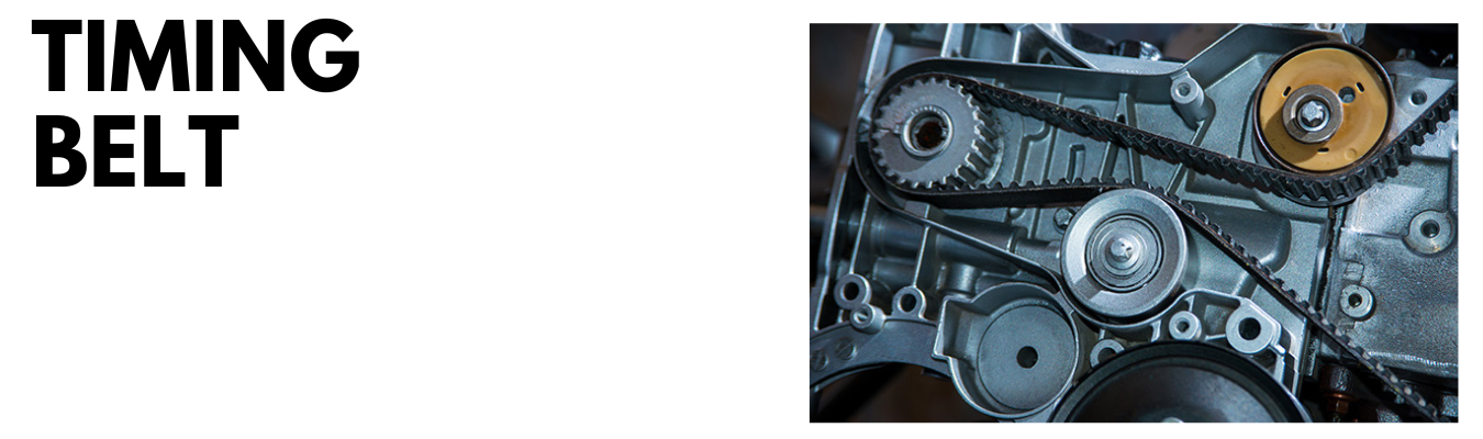 Timing Belt Dales Auto Service